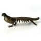 Brass Bird 33cm long