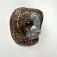 Wall Mounted Owl Vase