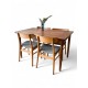 Danish Teak Extension table id 73